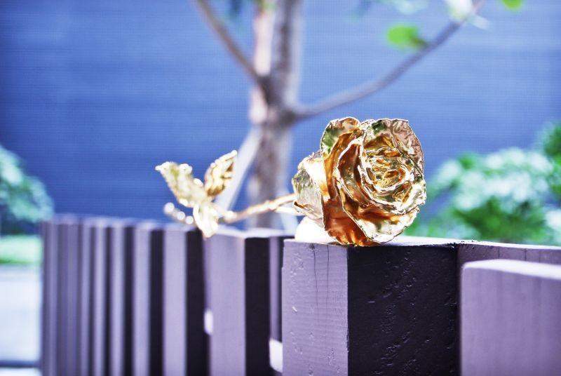 Avelena | 24K Gold Rosen