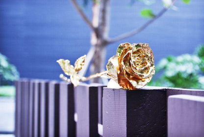 Avelena | 24K Gold Rosen