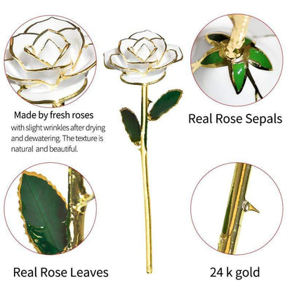 Avelena | 24k Gold Getauchte Ewige Rose