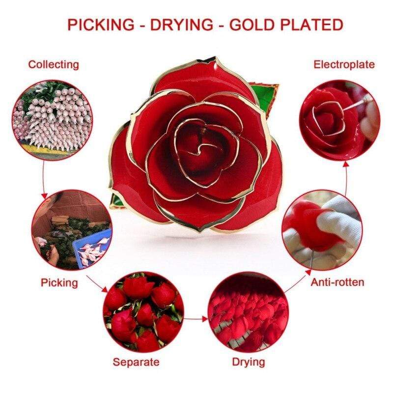 Avelena | 24k Gold Getauchte Ewige Rose