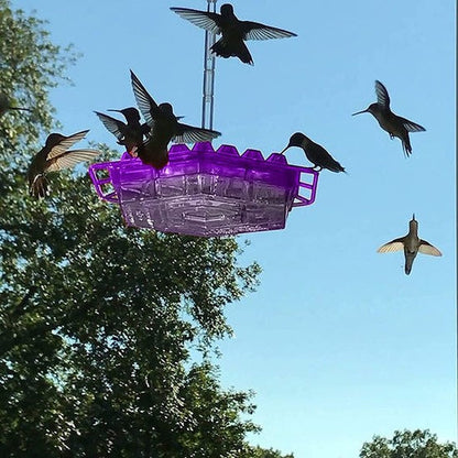 Avelena | Ants Resistant Hummingbird Feeder | 30 Feeding Openings, UV Resistant & Ideal for Outdoor Bird Watching