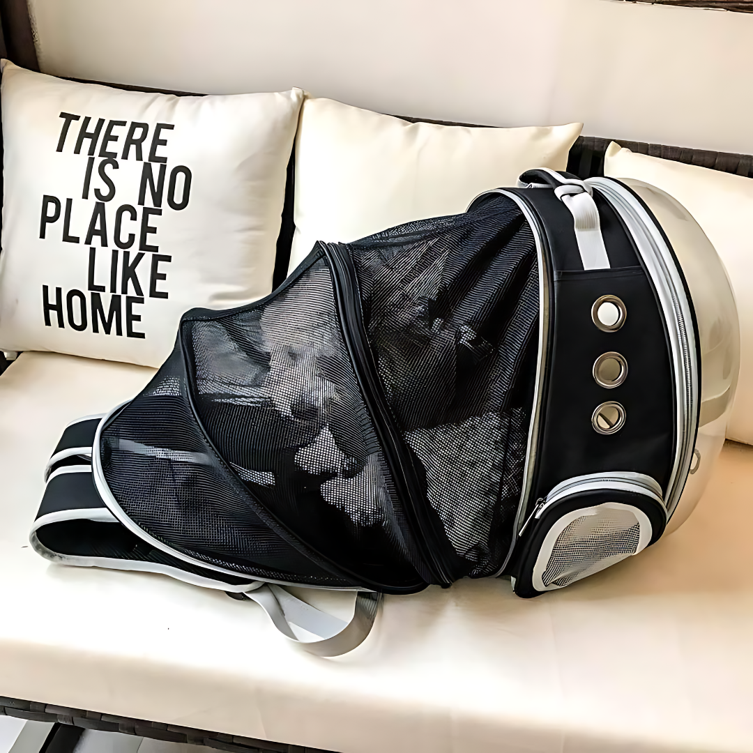 Avelena | Transport Rucksack für Katzen Ihr Begleiter für Jedes Abenteuer