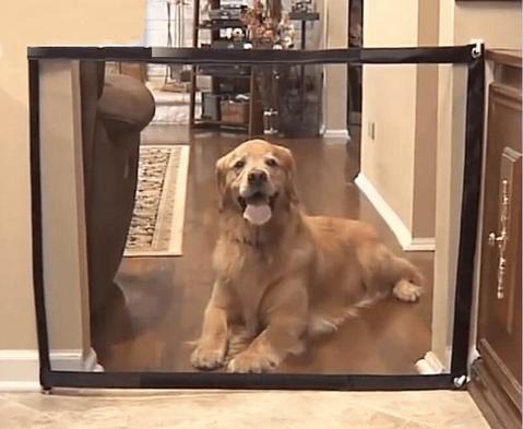 Avelena | Mesh Hundetor Für Haus