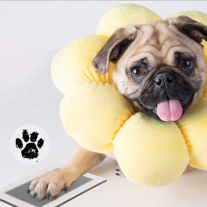 Avelena | DIY Haustier-Pfotenabdruck Erinnerungsrahmen