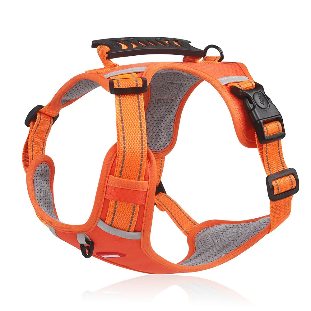 Avelena | Anti-Zieh Hundegeschirr Flexifit