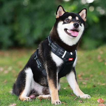 Avelena | Hundegeschirr
