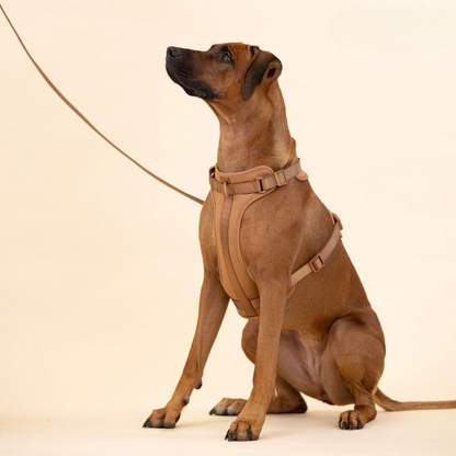 Avelena | ComfyPaws Hundegeschirr Walking Set mit Leine und Kotbeutelhalter