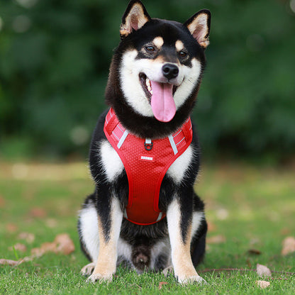 Avelena | Hundegeschirr