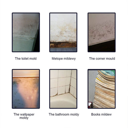 Avelena | Schimmelreiniger-Schaum Schimmel-Deodorant Dekontamination Schnellwirkendes Spray