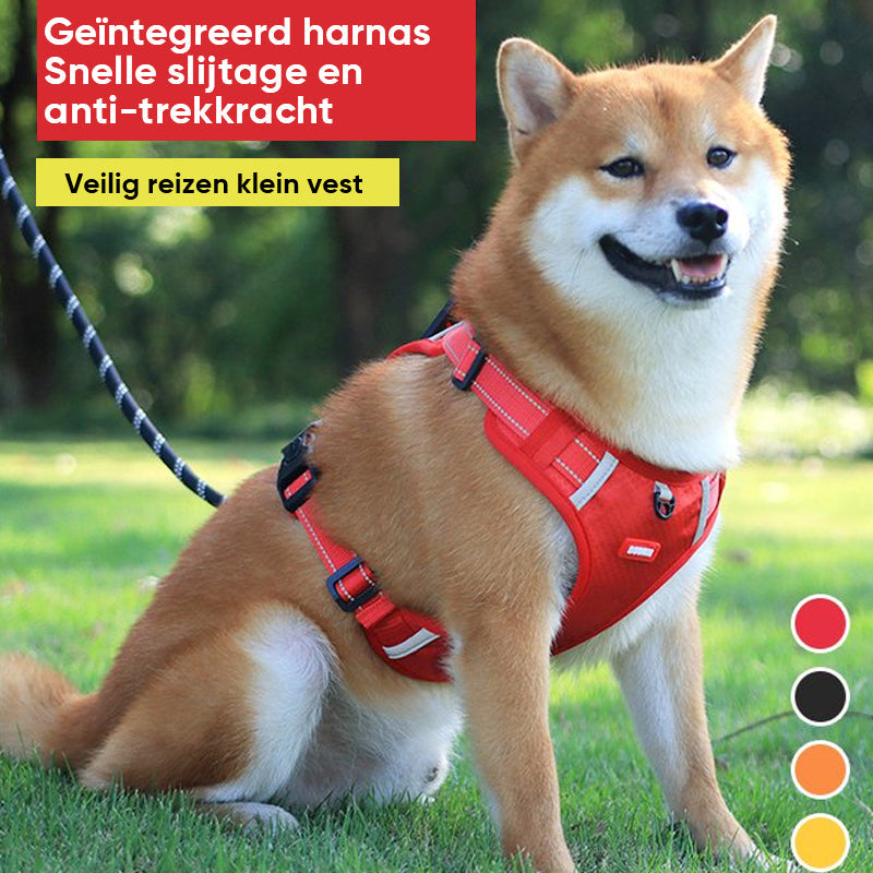 Avelena | Hundegeschirr