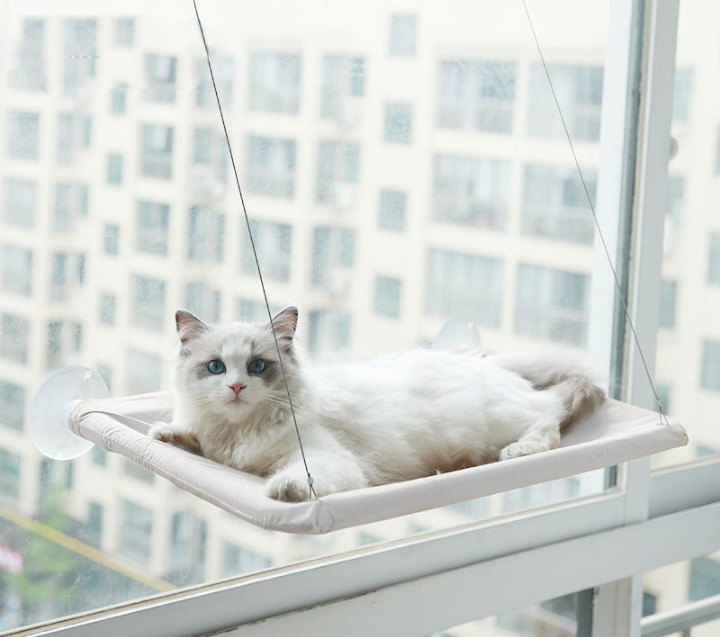 Avelena | Katze Fenster Hängematte