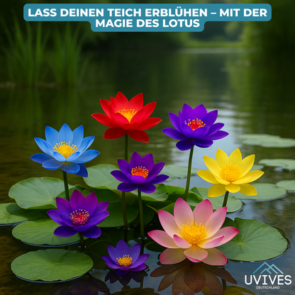 Avelena |  LotusBloom – Magische Blütenpracht für deinen Teich