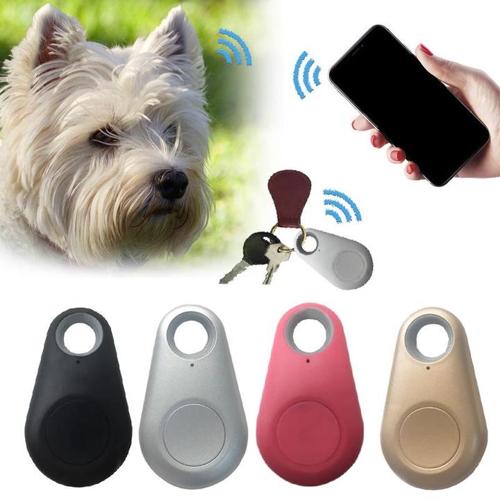 Avelena | Kompakter Gps-Tracker für Haustiere