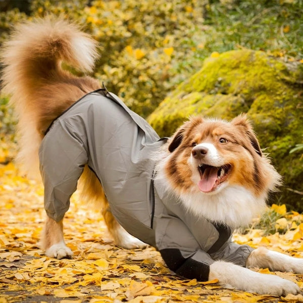Avelena | Wasserdichter Hundemantel mit Beinen – Reflektierende Hunderegenjacke für kleine und große Rassen | Bester Regenmantel für Hunde UK
