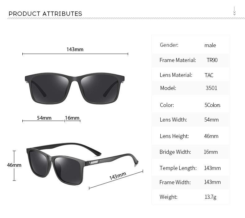Avelena | Herren Polarized Sonnenbrille