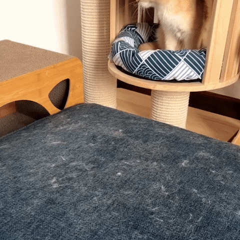 Avelena | 3-in-1 Haustierhaarbürste - PetClean Pro