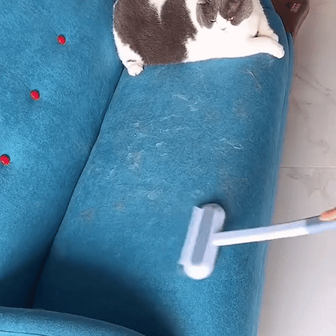 Avelena | 3-in-1 Haustierhaarbürste - PetClean Pro