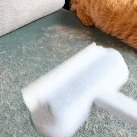 Avelena | 3-in-1 Haustierhaarbürste - PetClean Pro