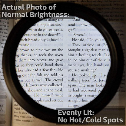 Avelena | LED Leseglas Lupe