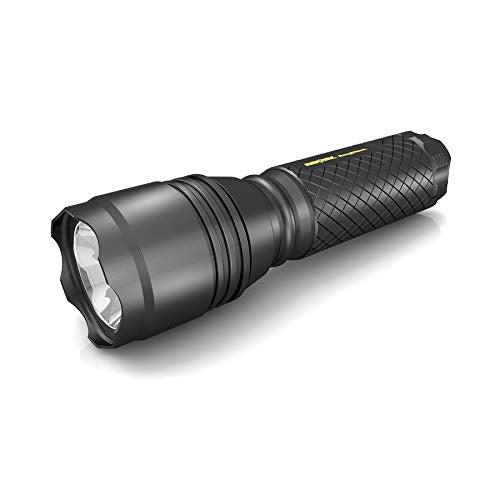 Avelena | Rayovac Roughneck Led Taschenlampe, 220 Lumen, Edc mit Gürtel & Aaa Batterien, Schwarz