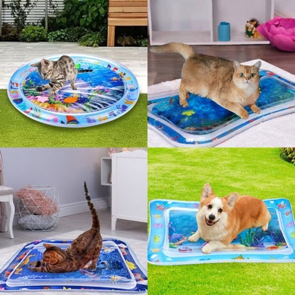 Avelena | Pet Wasser Sensorik Matte
