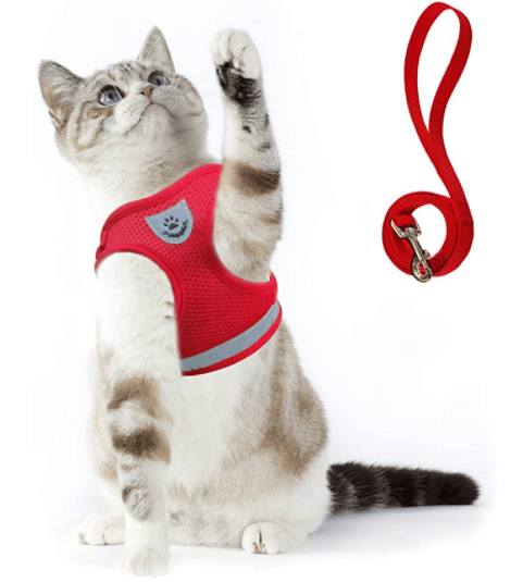 Avelena | Ausbruchssicheres Katzengeschirr mit Leine
