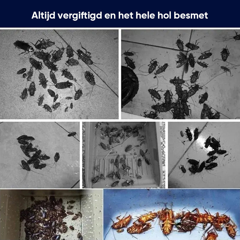 Avelena | Kakerlaken Spray Ätherisches Öl