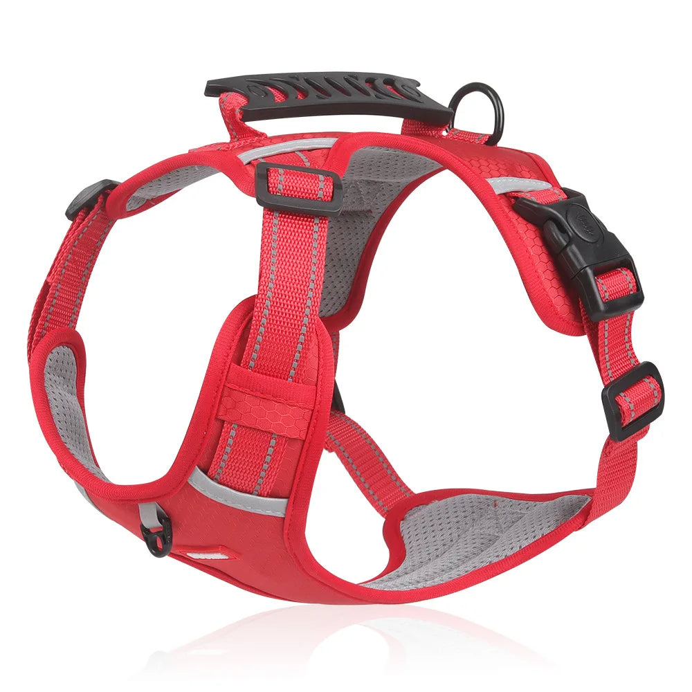 Avelena | Anti-Zieh Hundegeschirr Flexifit