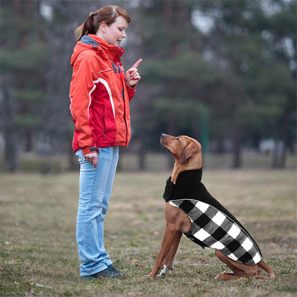 Avelena | Wendbare Schottenkaro Winterjacke für Hunde Klassisch und Warm