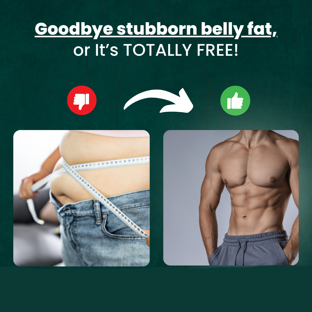 Avelena | Bauchmuskeltrainer | Fitnessgerät für Muskeltraining | Ausrüstung für Bauchübungen