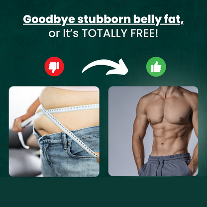 Avelena | Bauchmuskeltrainer | Fitnessgerät für Muskeltraining | Ausrüstung für Bauchübungen