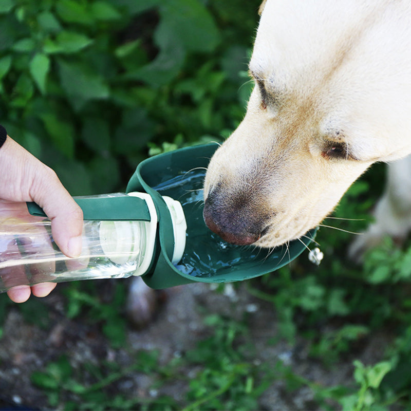 Avelena | Wasser- und Futternapf für Haustiere im Freien