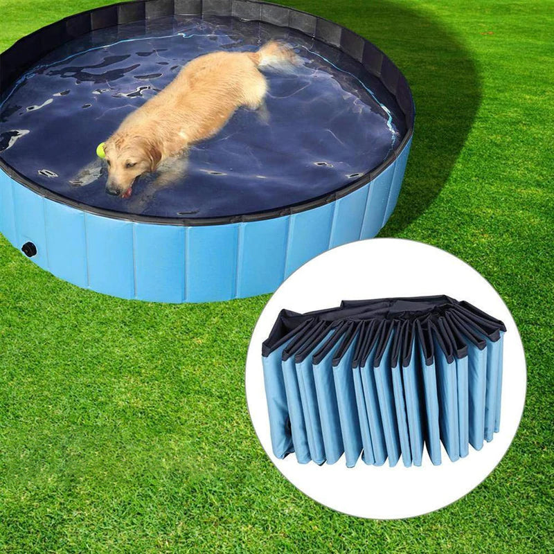 Avelena | Paw Pool