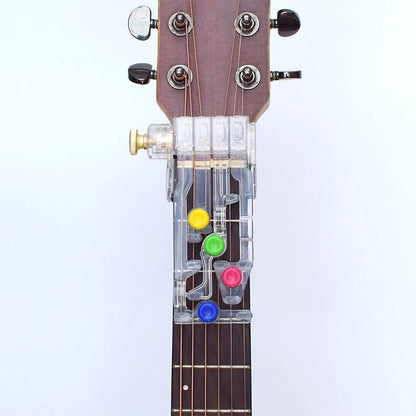 Avelena | StringLeitfaden Master Guitar Basics