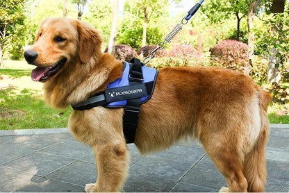 Avelena | Reflektierende all-in-one No Pull-Hundegeschirr