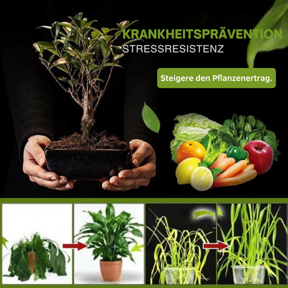 Avelena | SicherWachsen Schnelle Gartenrestaurierung