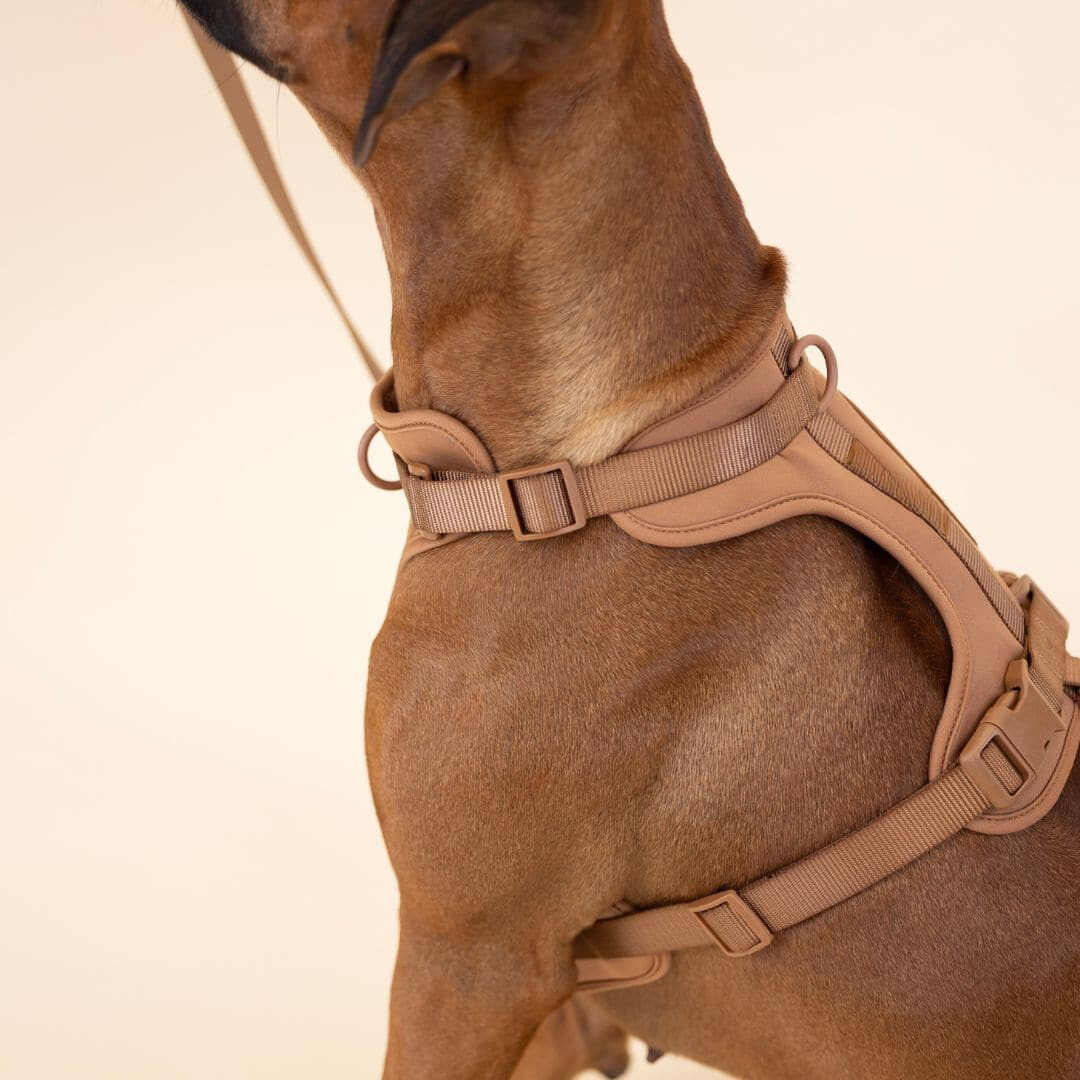 Avelena | ComfyPaws Hundegeschirr Walking Set mit Leine und Kotbeutelhalter