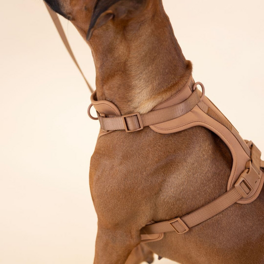 Avelena | ComfyPaws Hundegeschirr Walking Set mit Leine und Kotbeutelhalter