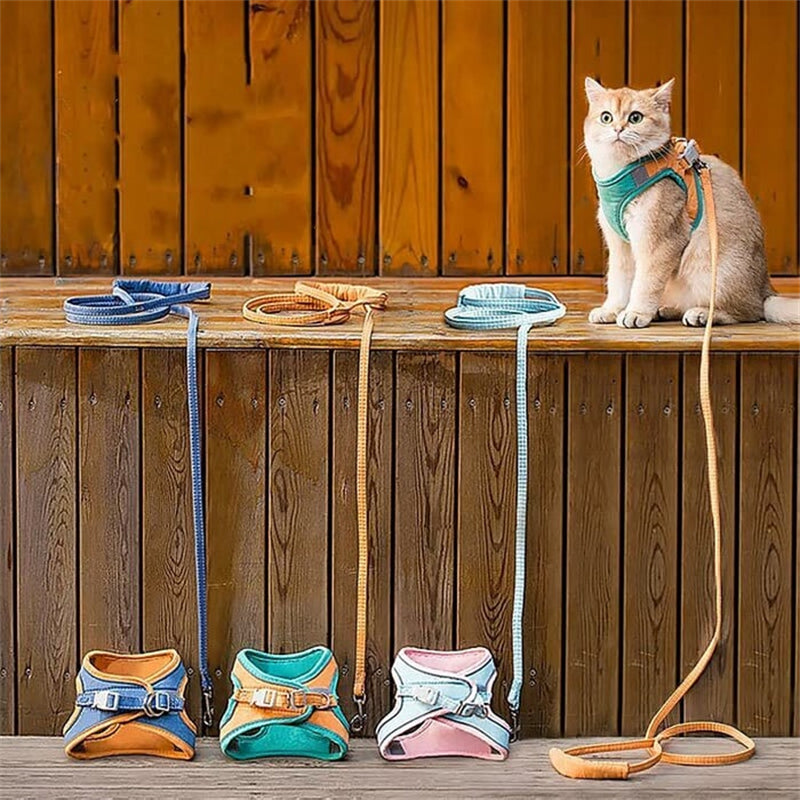 Avelena | Katzenweste Geschirr und Leine Set