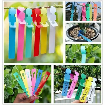 Avelena | Wiederverwendbare Pflanzenetiketten aus Kunststoff für Garten und Baummarkierung