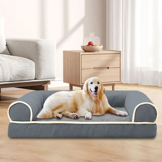 Avelena | COZYTAIL - Premium Orthopädisches Sofabett