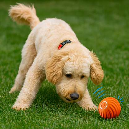 Avelena | Interactive Smart Dog Ball Toy