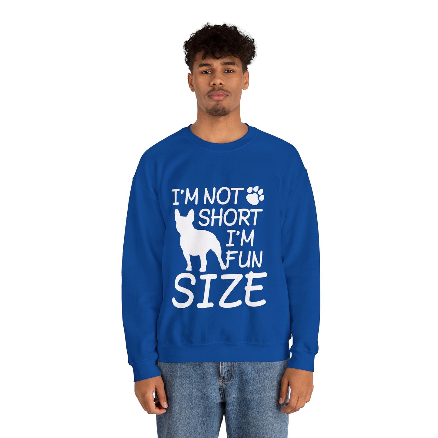 Avelena | Streifen Unisex Sweatshirt Für Boston Terrier Liebhaber