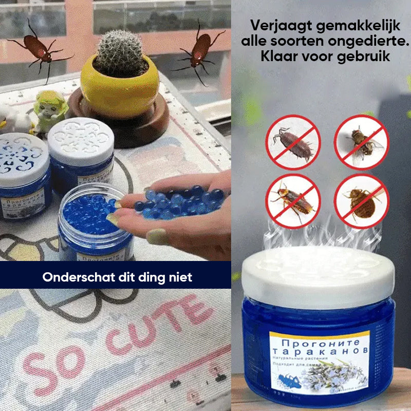 Avelena | Kakerlaken Spray Ätherisches Öl