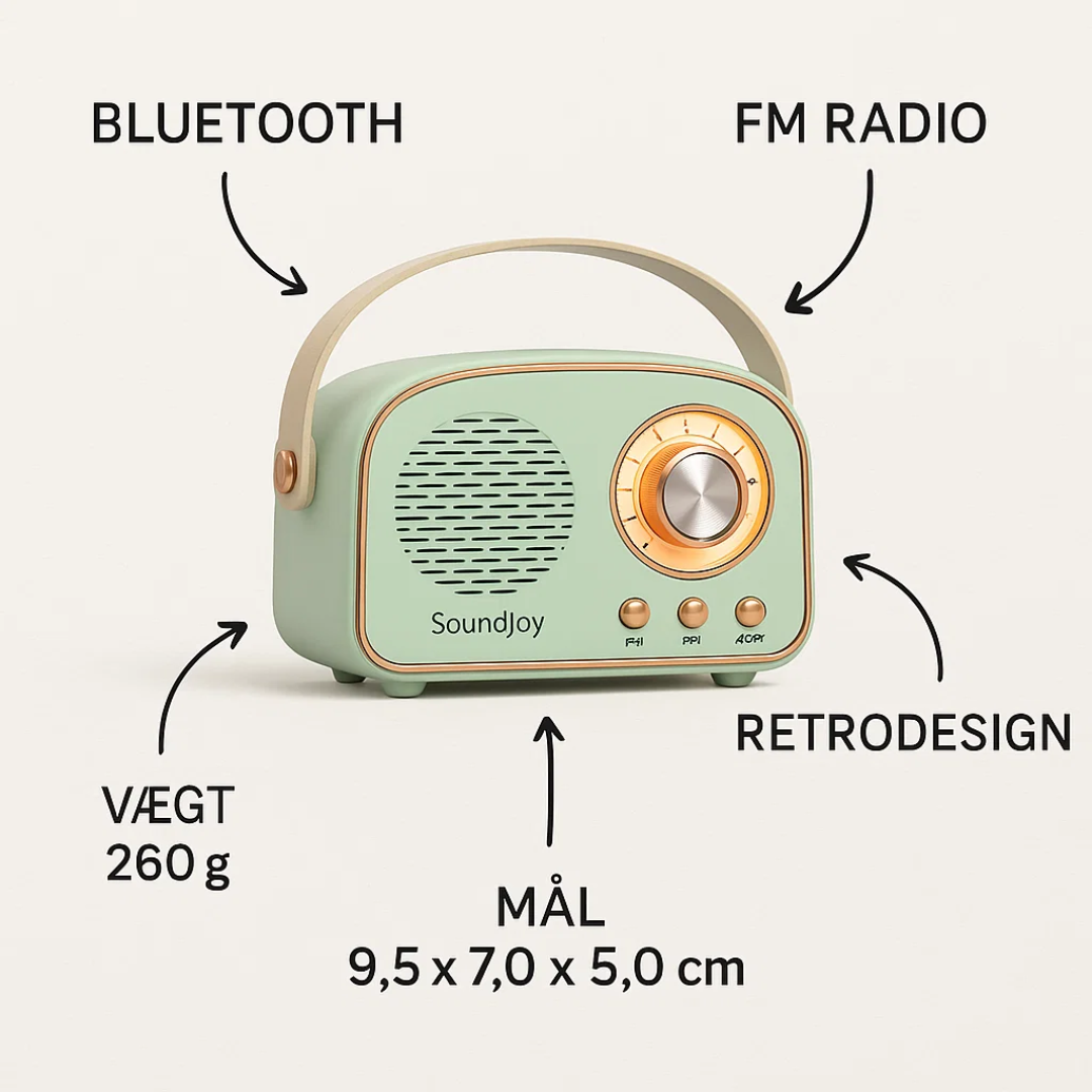 Avelena | SoundJoy | Tragbarer Retro Lautsprecher mit FM Radio