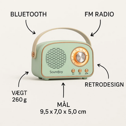 Avelena | SoundJoy | Tragbarer Retro Lautsprecher mit FM Radio