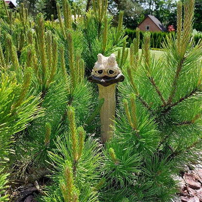 Avelena | CluckyCharm - Die witzige Gartendeko mit Charakter!