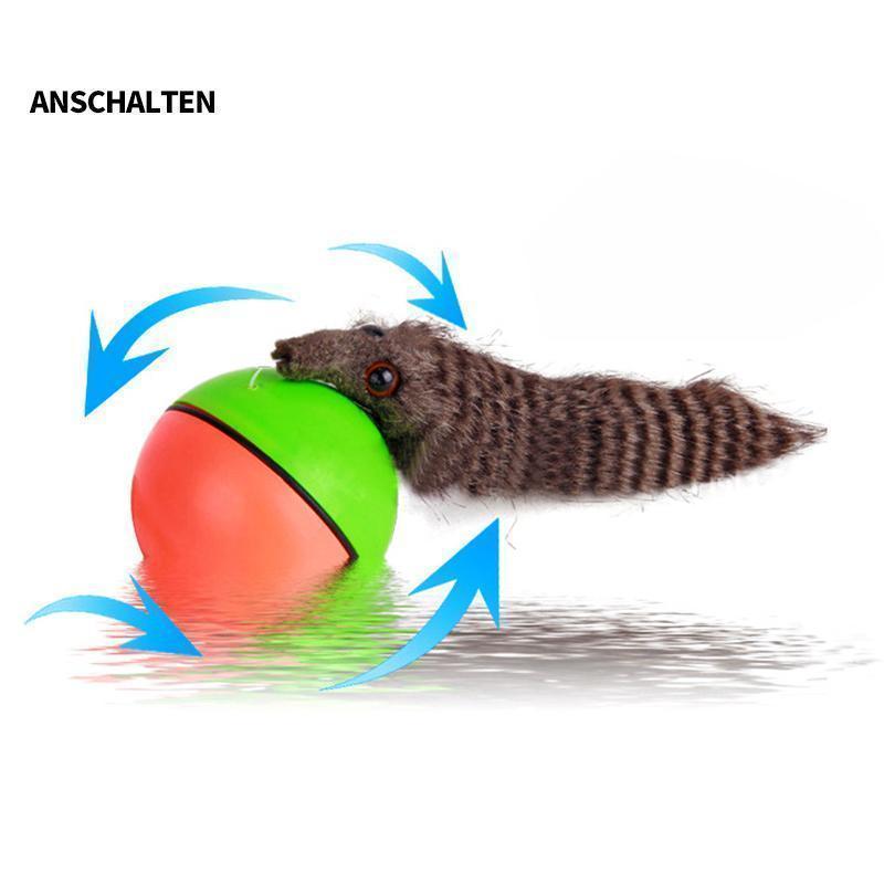 Avelena | Biber Ball für Haustier