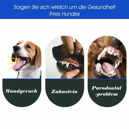 Avelena | Pet Drei-Kopf-Zahnbürste
