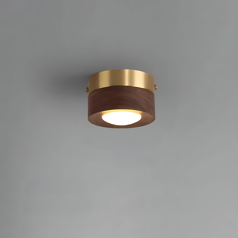 Avelena | Walnuss-Deckenlampe mit LED-Strahler